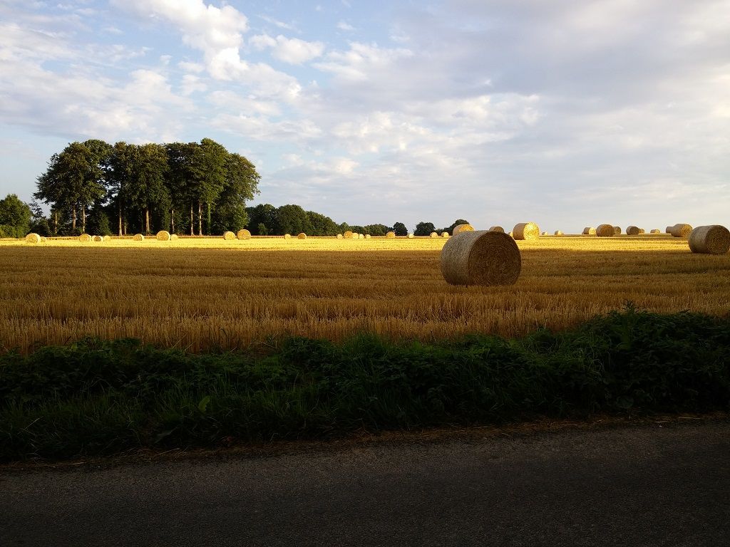20150704_203050.jpg