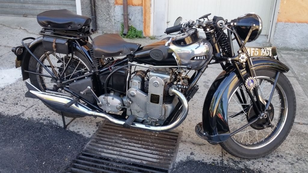 black_ariel_sardinia_2_.jpg
