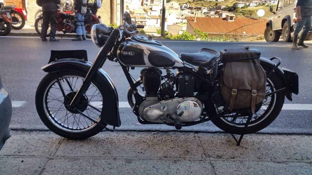 black_ariel_sardinia_5_.jpg