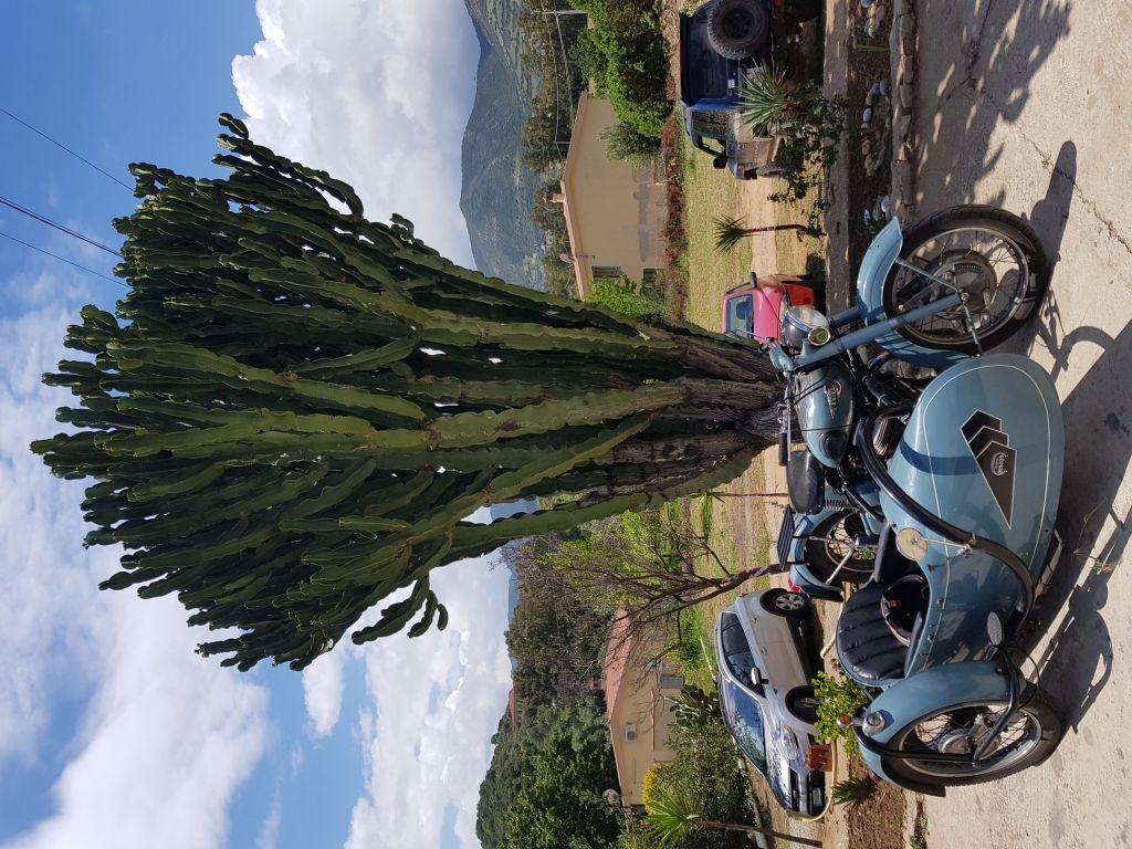 20180506_123150.jpg